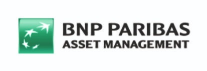 bnp.jpg